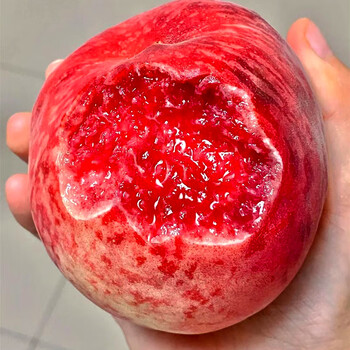 颜曼箐屈家岭血桃孕妇新鲜水果整箱当季现摘红肉桃子朱砂红胭脂红 5斤