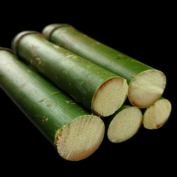 实心竹玉竹手把件老竹子竹雕节毛根料1520mm把玩手持小手串国产毛料