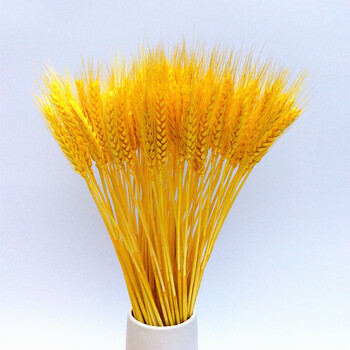 云创典麦穗干花花束客厅田园装饰摆件干花插花拍摄道具黄色100支