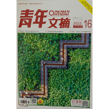 青年文摘 2022年第16期 文学文摘期刊 中学生作文素材课外阅书籍 京东自营