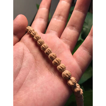 默奢罕见原桩龙爪莲花桩油皮果冻料热振寺百香籽男手串绝世龙爪8mm7mm
