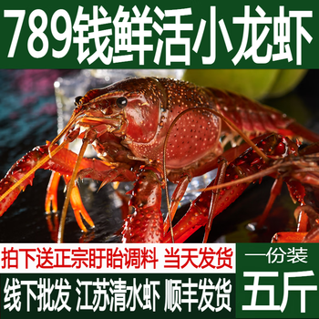 五斤789钱小龙虾 鲜活特大江苏清水虾新鲜活龙虾【图片 价格 品牌