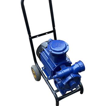 海湾 防爆移动式电动自吸滑片泵KYB40-20-30 DN40（铁叶轮380V功率2.2kW）