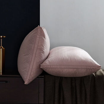 玖纹豹希尔顿五星级酒店羽绒枕头95白鹅绒学生宿舍枕芯专用100支贡缎