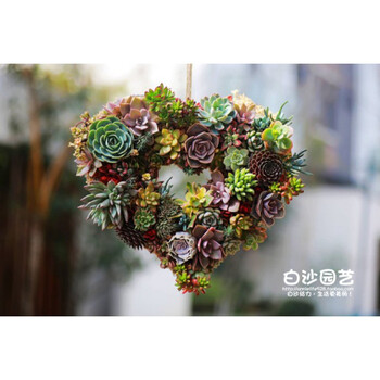 千特多肉植物铁艺花环做旧多肉花环多肉造景可悬挂多肉创意花盆花篮心形中等 图片价格品牌报价 京东