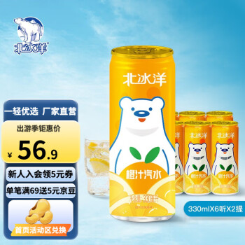 北冰洋 汽水 老北京汽水 聽裝果汁碳酸飲料 橙汁汽水330ml*12罐