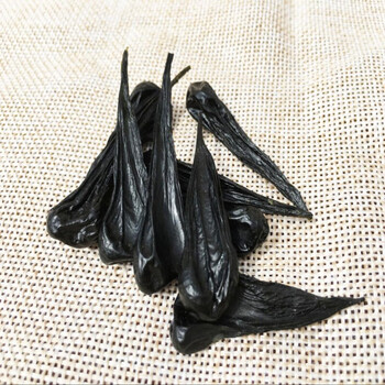 五步蛇胆 武夷山眼镜蛇胆干 蛇胆 蛇胆十粒