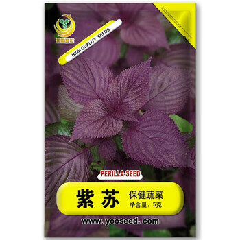 凤鸣雅世种子 凤鸣雅世食用紫苏种子赤苏紫苏叶种籽白苏盆栽紫苏籽种植四季籽种蔬菜孑苏子叶籽四季蔬菜种孑紫苏种子5克 行情报价价格评测 京东