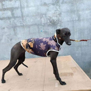 格力犬灵缇惠比特犬衣服加绒保暖狗狗棉服棉衣赛道服狗背心马甲紫色印花3号小号40到50肩高斤内 图片价格品牌报价 京东