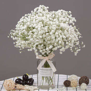 干花花束真花ins瓶满天星批发家居装饰客厅摆设卧室摆件生日礼物白色