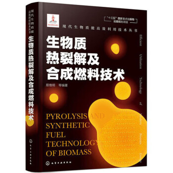 现代生物质能高效利用技术丛书：生物质热裂解及合成燃料技术（精装）