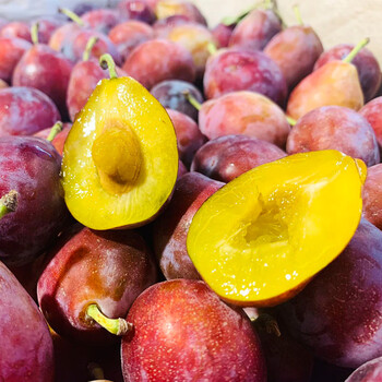 媚调顺丰新疆西梅大果2/4/8斤甜梅子新鲜水果孕妇宝宝李子应季 4斤