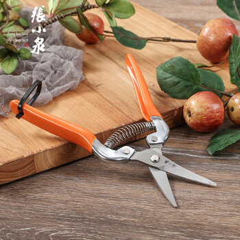 张小泉秋韵系列稀果剪采摘剪水果采摘剪刀园艺剪刀zh324