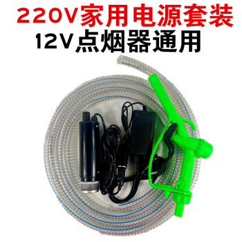 fgacct抽油泵柴油12v24伏220v抽水泵電動小型油抽子潛水泵抽油器加油