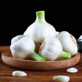 山东鲜蒜白皮大蒜腌制糖醋蒜现挖蒜头批发产地直发湿蒜嫩蒜子 5斤