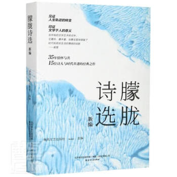 正版朦胧诗选新编者春风文艺出版社责韩喆春风文艺出版社