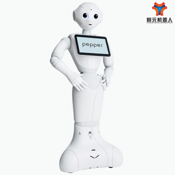 开源pepper仿人型服务机器人 人机交互视觉识别人工智能ROS 图形化编程 白色