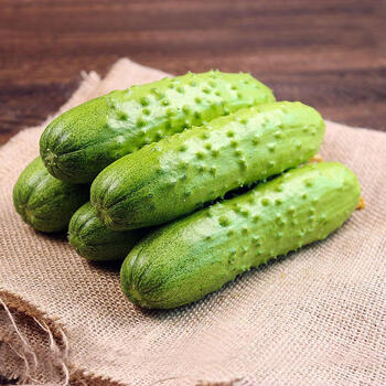 新鲜黄瓜农家时令青菜笨黄瓜小青瓜荷兰瓜水果应季蔬菜5斤 精选5斤装
