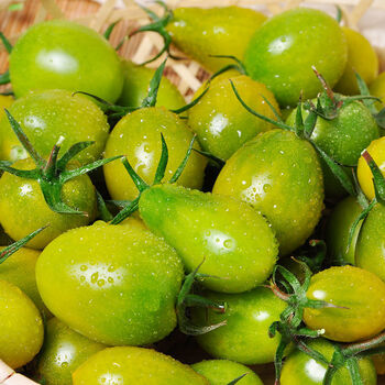 青口蜜圣女果绿宝石小番茄新鲜超甜非千禧西红柿尝鲜装1斤