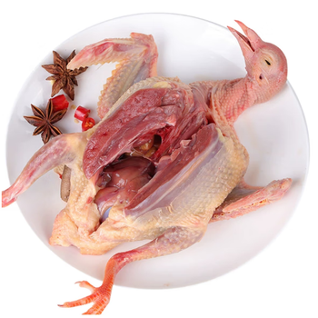 养5年老鸽子新鲜现杀 鸽子杀完每只净重350克左右 生鲜 现杀鸽子肉1只