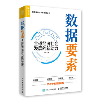 数据要素 全球经济社会发展的新动力(人邮普华出品)