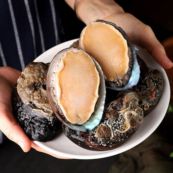 新鲜鲜活大鲍鱼海鲜水产冷冻加热即食华盛超大刺身鲍鱼500g3头鲍稀有1