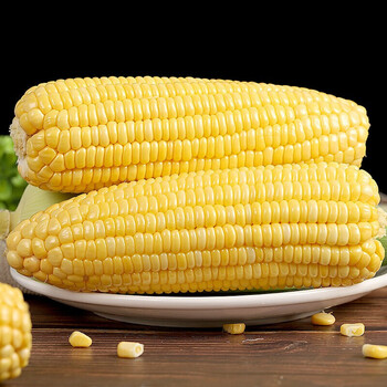 源外园 甜玉米 云南水果玉米棒生鲜嫩脆黄白棒子玉米粒速食早餐代餐 3