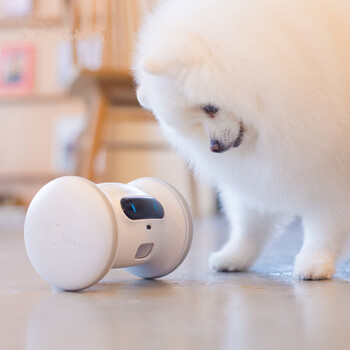 宠物陪伴机器人猫咪狗狗智能玩具自动逗宠投食手机遥控制自动陪玩互动