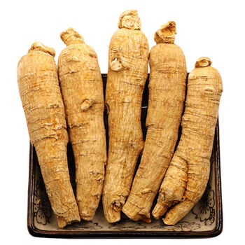 西洋参整枝花旗参段原枝长白山西洋参整枝硬肉花旗参精品整支单支5克