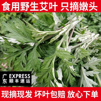 精选品质 良知农哥新鲜食用艾草艾叶艾蒿现摘野菜嫩芽健康轻食1 5kg 3斤 图片价格品牌报价 京东