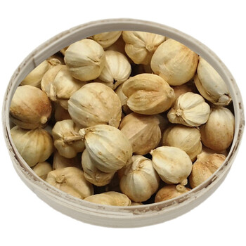 纯正白豆蔻50克白扣白叩白寇调料香料香辛料十三香