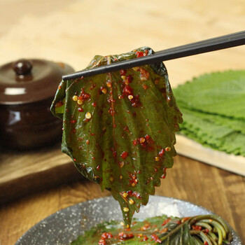 苏子叶泡菜紫苏叶新鲜辣延边朝鲜族咸菜下饭菜