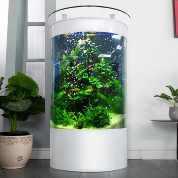 大型客厅落地鱼缸圆柱体半圆免换水鱼缸水族箱底滤侧滤鱼缸造景半圆