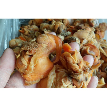 北戴河干海货特产血蛤干毛蚶子肉麻蚶子大赤贝肉干货海鲜500g