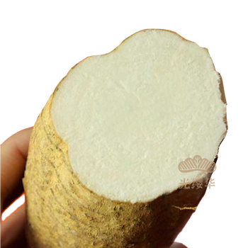 新鲜粉葛 3/5/10斤装 新鲜葛生根 广西一级黄葛