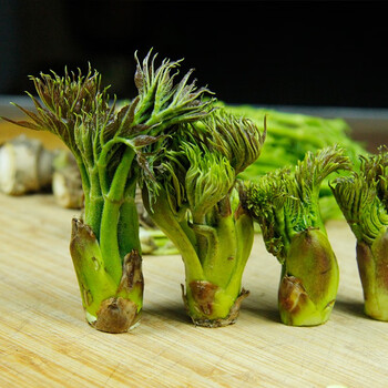 顺丰速运东北刺嫩芽山野菜刺老芽刺龙芽新鲜蔬菜特产2斤装