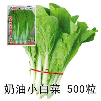 珂玮蔬菜种子四季播种农家田园阳台种菜盆栽春季庭院葱菠菜香菜韭菜籽奶油小白菜 原装500粒 图片价格品牌报价 京东