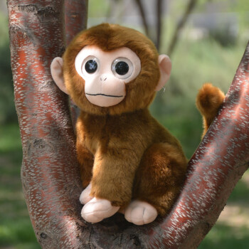 广爱可爱大眼睛猴子公仔灰棕色小猴毛绒玩具仿真动物玩偶金丝猴布娃娃