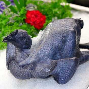 春光岛现杀乌鸡农家生鲜乌鸡肉五黑鸡小乌骨鸡新鲜2斤