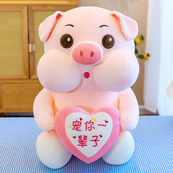 嘟嘟抱心猪猪公仔毛绒玩具布娃娃情人节生日礼物女孩 粉色-宠你一辈子