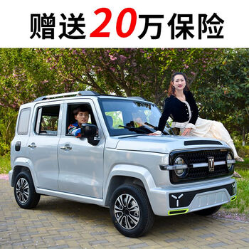 莱达新款电动车家用接送代步 新能源女士老头乐成人小型电瓶油电两用