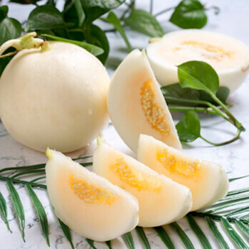 果粒果粒陕西白甜瓜新鲜水果糯香小香瓜白皮瓜253斤