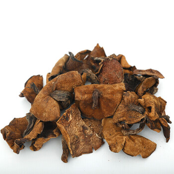 松蛾松蘑菇山蛾山峨松蛾粘蛾子小鸡炖蘑菇250