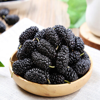 现摘新鲜桑葚果黑桑椹子水果酵素泡酒桑葚膏尝鲜1盒装