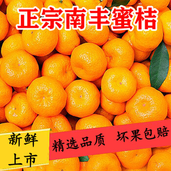 蜜桔和蜜橘是什么意思啊区别(蜜桔和蜜橘是什么意思啊区别大吗)