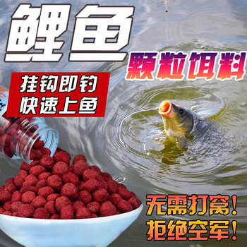鱼饵料狂钓者颗粒钓鱼饵料专攻野钓通杀黑坑鲫鱼鲤鱼草鱼钓鱼饵料 小