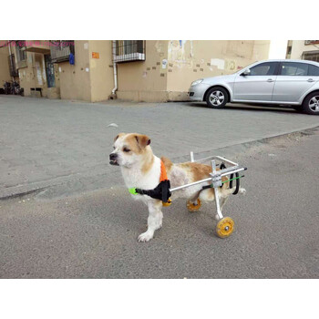 狗狗后腿残疾助力车狗轮椅瘫痪残疾狗后肢支架骨折脊椎受伤狗猫犬方便