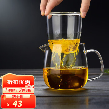 绿昌明 茶杯玻璃杯水杯茶水分离杯泡茶杯子加厚耐高温办公茶杯套装耐热 鹰嘴单杯650ml