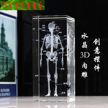 抖音同款wx人体骨骼模型结构图毕业季医师节医学学生礼物纪念品骨架