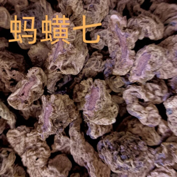 北京同仁堂雲南地產紅螞蝗七螞蟥七植物別名石螃蟹石蜈蚣農產品內廷上